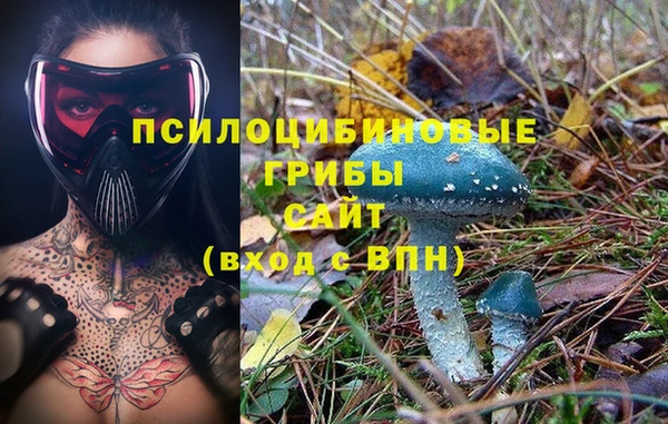 mix Богородицк