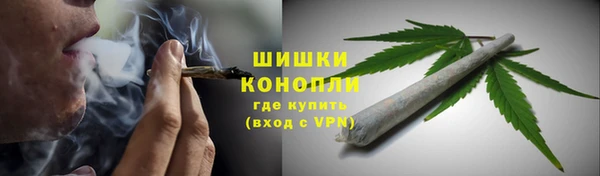 mix Богородицк