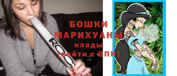 mix Богородицк
